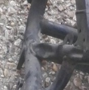 IMG_20170128_151119.jpg