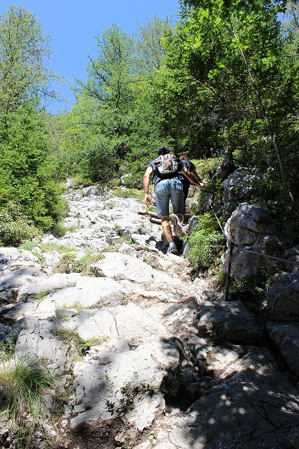 foto3.jpg