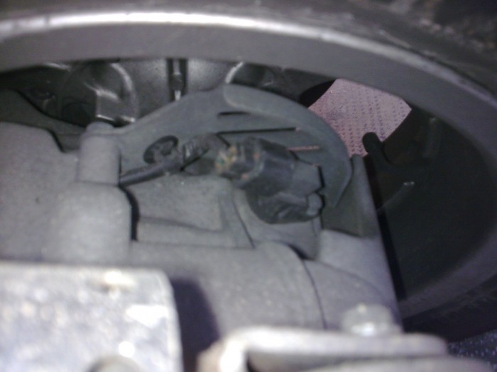 Immag154.jpg