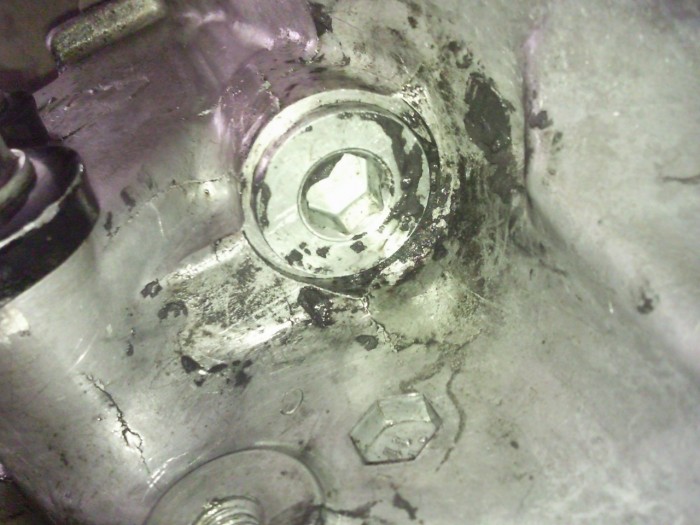 Perdiat olio 1.jpg