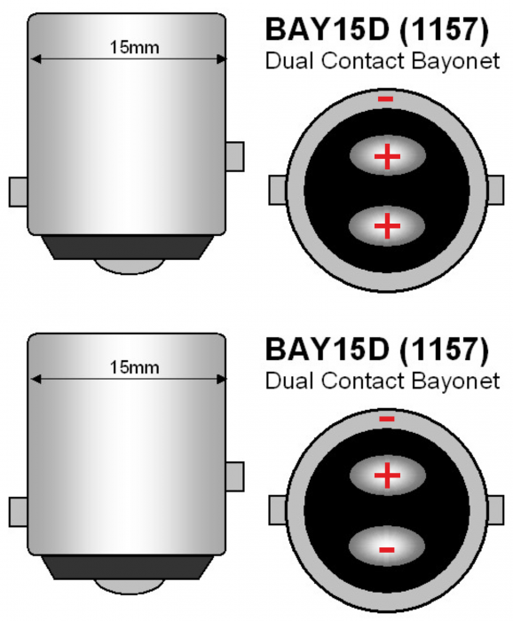 BAY-15D.png