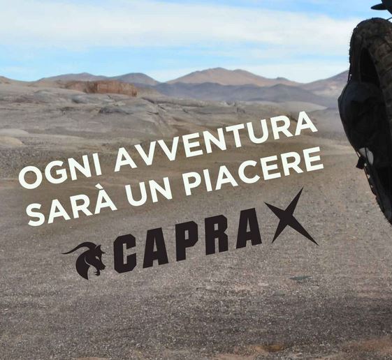 capra.JPG
